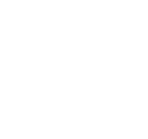 A Dog